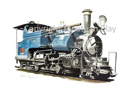 119 DHR Class B 0-4-0ST No.779 (Blue)