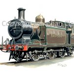 569 LBSCR Birch Grove 0-6-2T