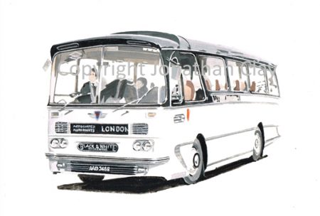 1879 Black & White Harrington Cavalier