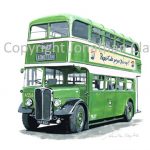 1883 Liverpool Corporation AEC Regent II No.A556