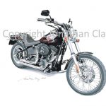 MB004 Harley Davidson FLXB Nitrate