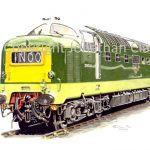 531 Class 55  Diesel Deltic No. D9019