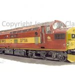 585 Class 37 Diesel No. 37114 (EWS)